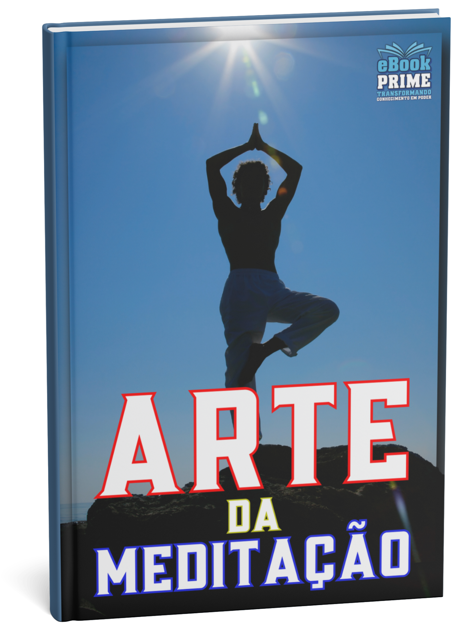 ARTE DA MEDITAÇÃO