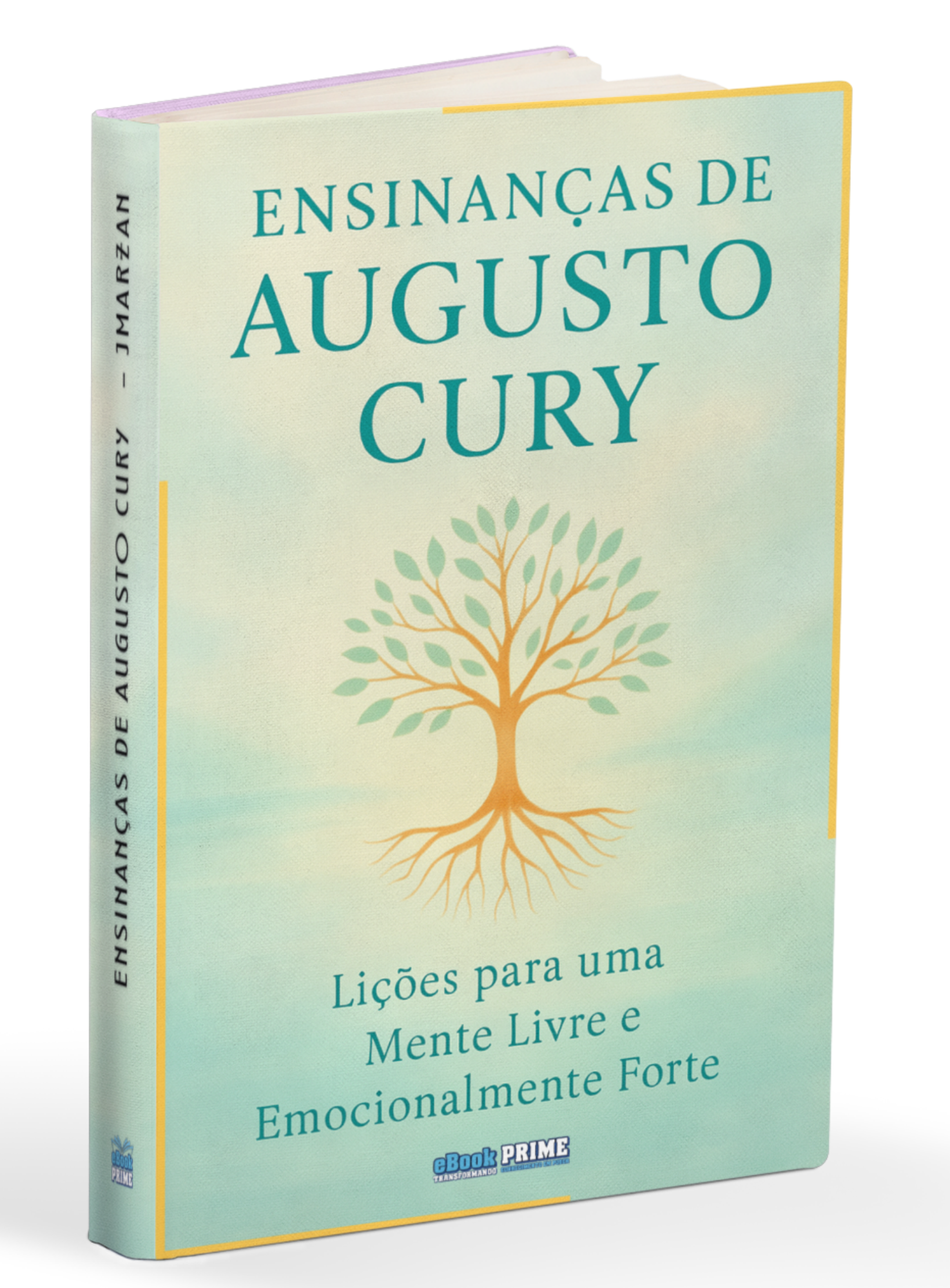 ENSINANÇAS DE AUGUSTO CURY