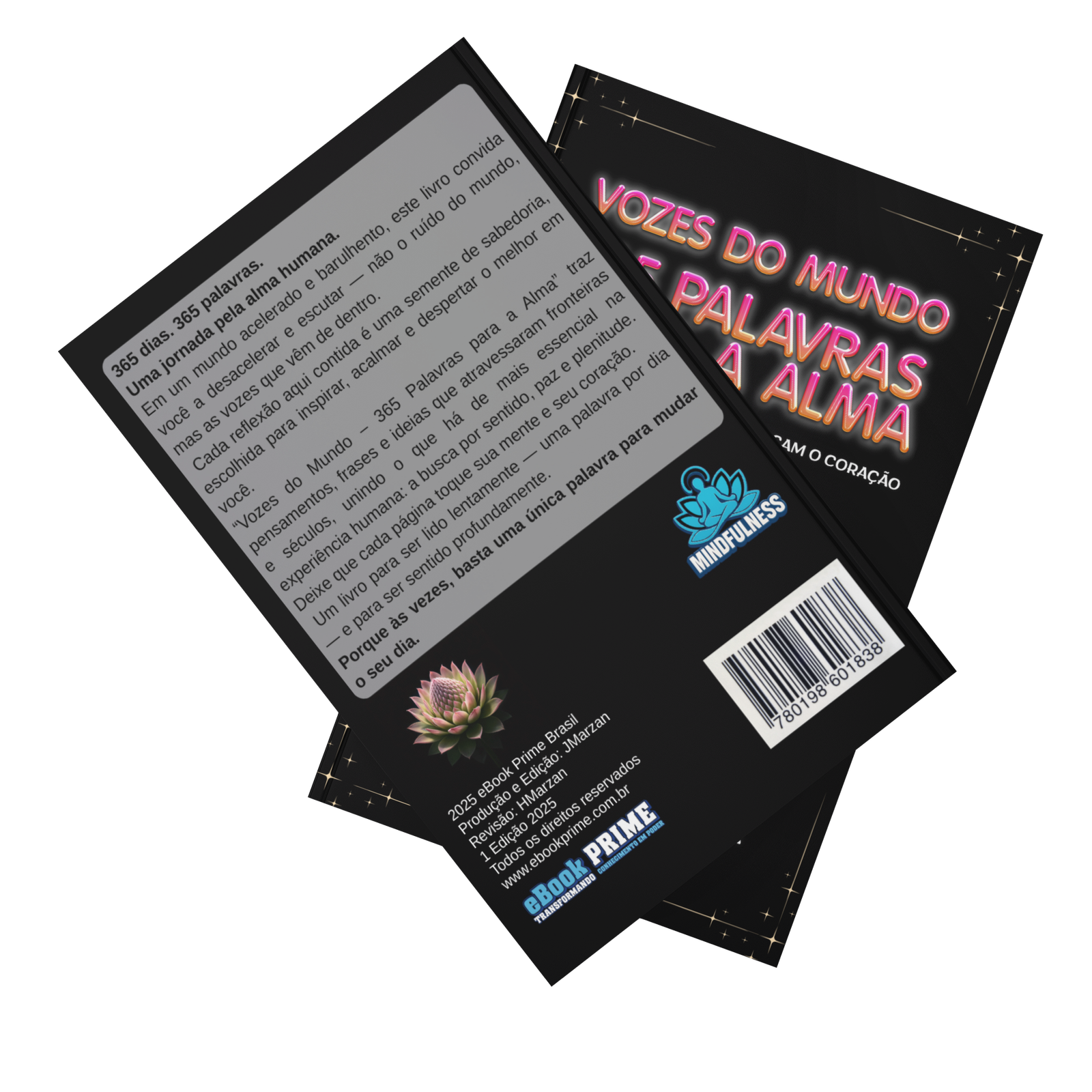 Visão Lateral do Livro